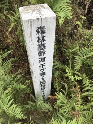008.林道標識１つめ
