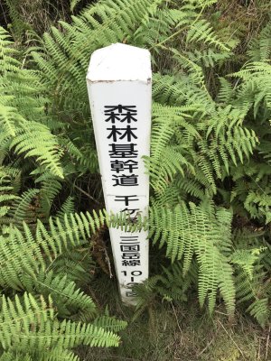 009.林道標識２つめ