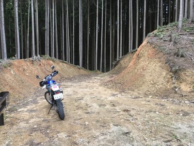 010.北側はここまで開設されてました①