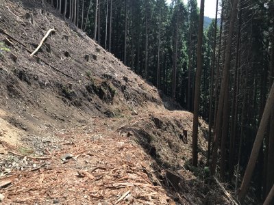 017.南側はここまで