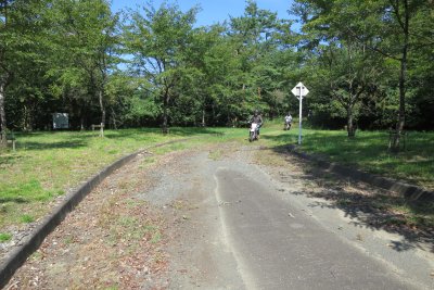 006.名前忘れた林道④