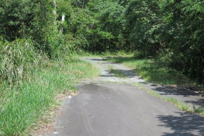 013.ラリー林道への分岐②