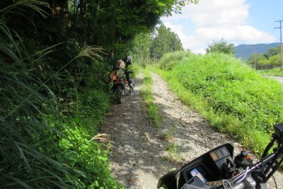 020.名前は知らない林道