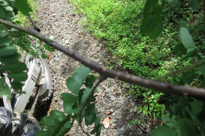 023.シャツに穴が？②