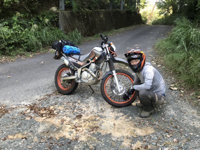 004.名前忘れた林道②