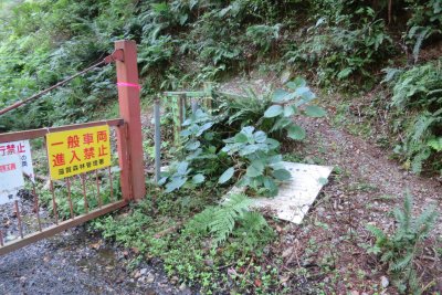 006.粟柄河内谷林道②