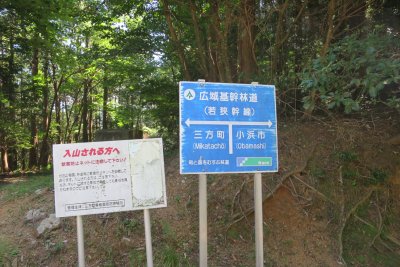 019.基幹林道へ繋がった②