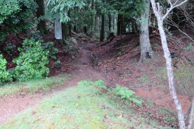 022.初めて通る九十九折れ道①