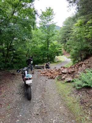 019.茂ちゃんコケる①