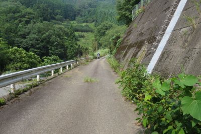 004.永谷天辻林道なのかな？②