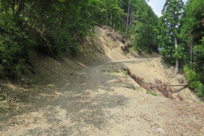 014.護摩壇山まで繋がる林道へ②