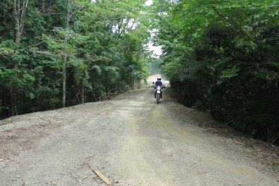 015.護摩壇山まで繋がる林道へ③
