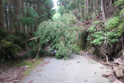 021.通行止めの箇所③