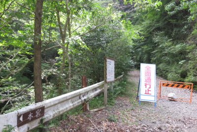 030.虎ヶ峰坂泰林道へ①