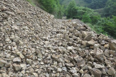 031.虎ヶ峰坂泰林道へ②