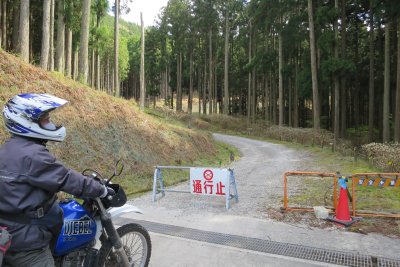 020.千ヶ峰・三国岳林道の中間付近①