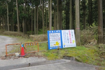 021.千ヶ峰・三国岳林道の中間付近②