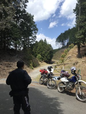 016.粟鹿山林道②