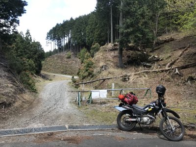 017.粟鹿山林道③
