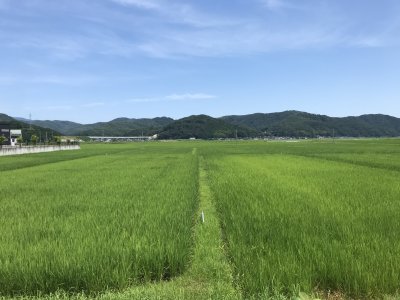 002.ソロで行きたくなり②