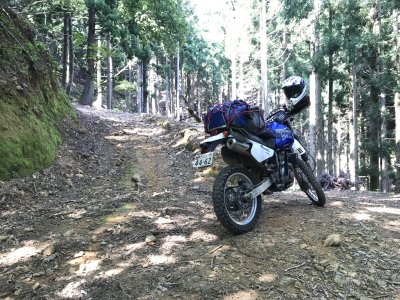 007.林道散策してみたら