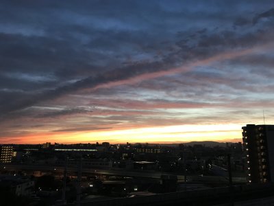 001.おはようございます