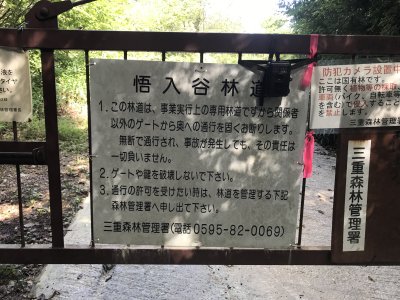 008.すぐ近くの悟入谷林道①