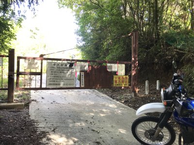 009.すぐ近くの悟入谷林道②