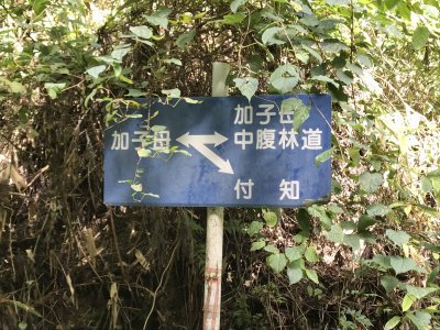 012.林道に入りました②