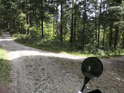 011.林道に入りました①