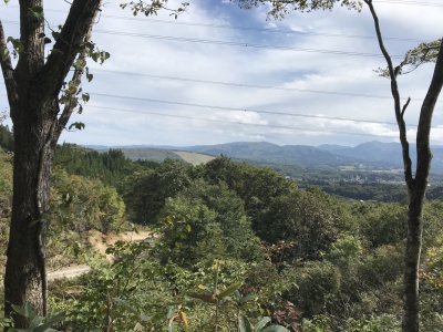 006.トライアングル林道④