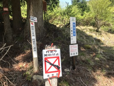 010.阿舎利の林道へ②