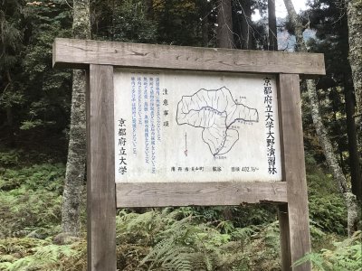 012.菅生山林道を降りて、県道50へ①