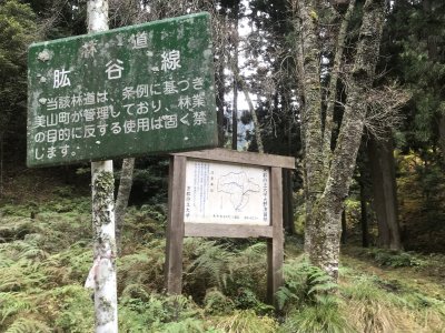 013.菅生山林道を降りて、県道50へ②