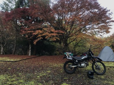 001.おはようございます①
